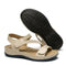 Kaki / 35