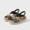 Zebra Classico / 35